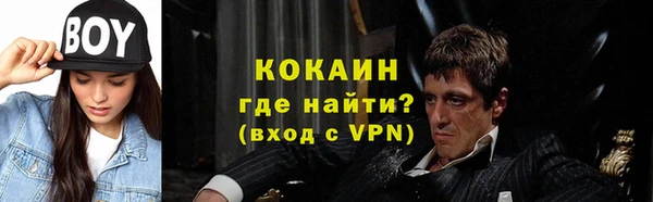 трава Гатчина