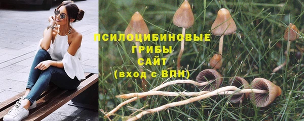 бошки Галич