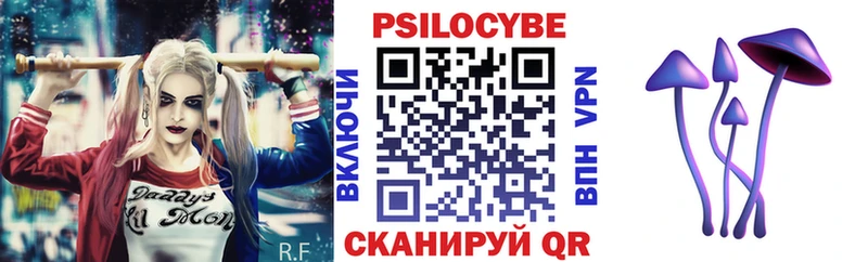 Псилоцибиновые грибы Psilocybe  где продают   Карпинск 