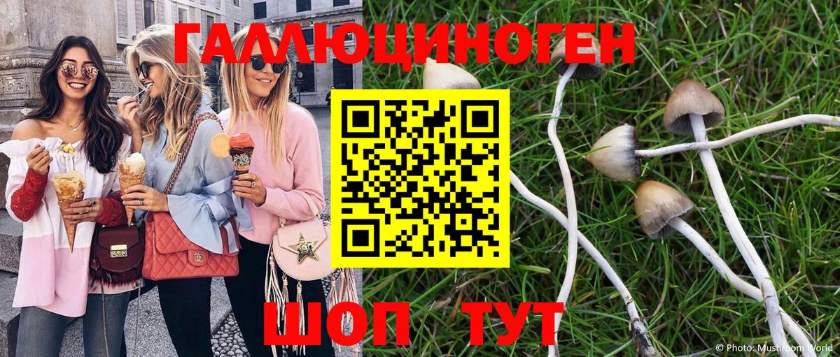Галлюциногенные грибы Cubensis  цена   Псилоцибиновые грибы ЛСД  Карпинск 