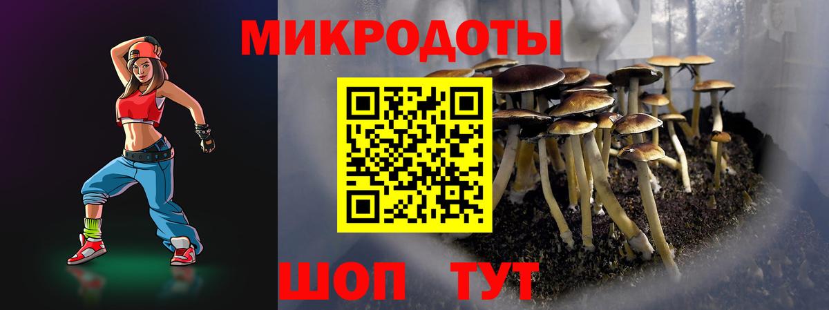 Псилоцибиновые грибы MAGIC MUSHROOMS  Псилоцибиновые грибы прущие грибы  Карпинск  Вход с VPN 