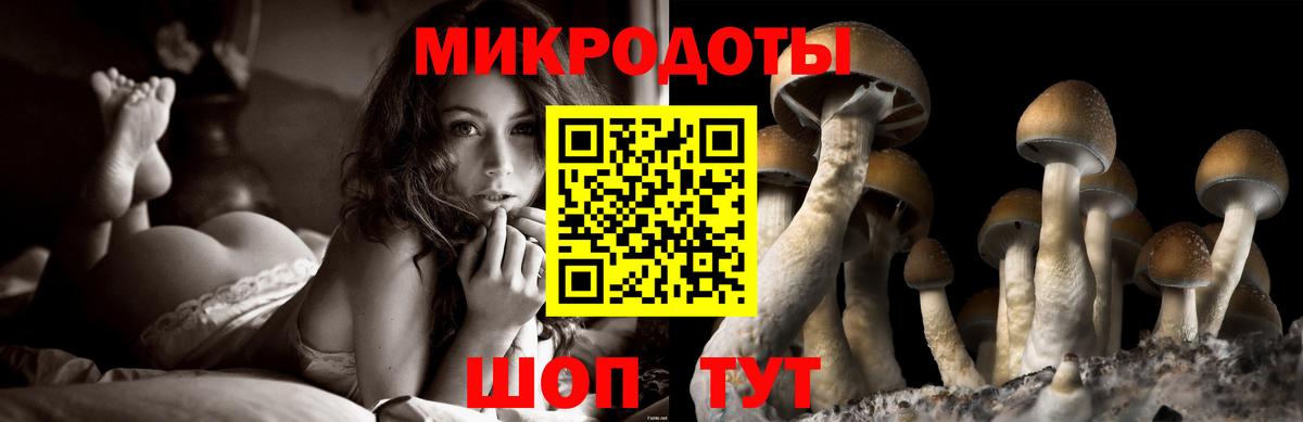 Галлюциногенные грибы Psilocybine cubensis Карпинск